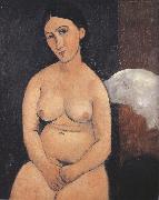 Amedeo Modigliani Seated Nude (mk39) oil painting picture wholesale